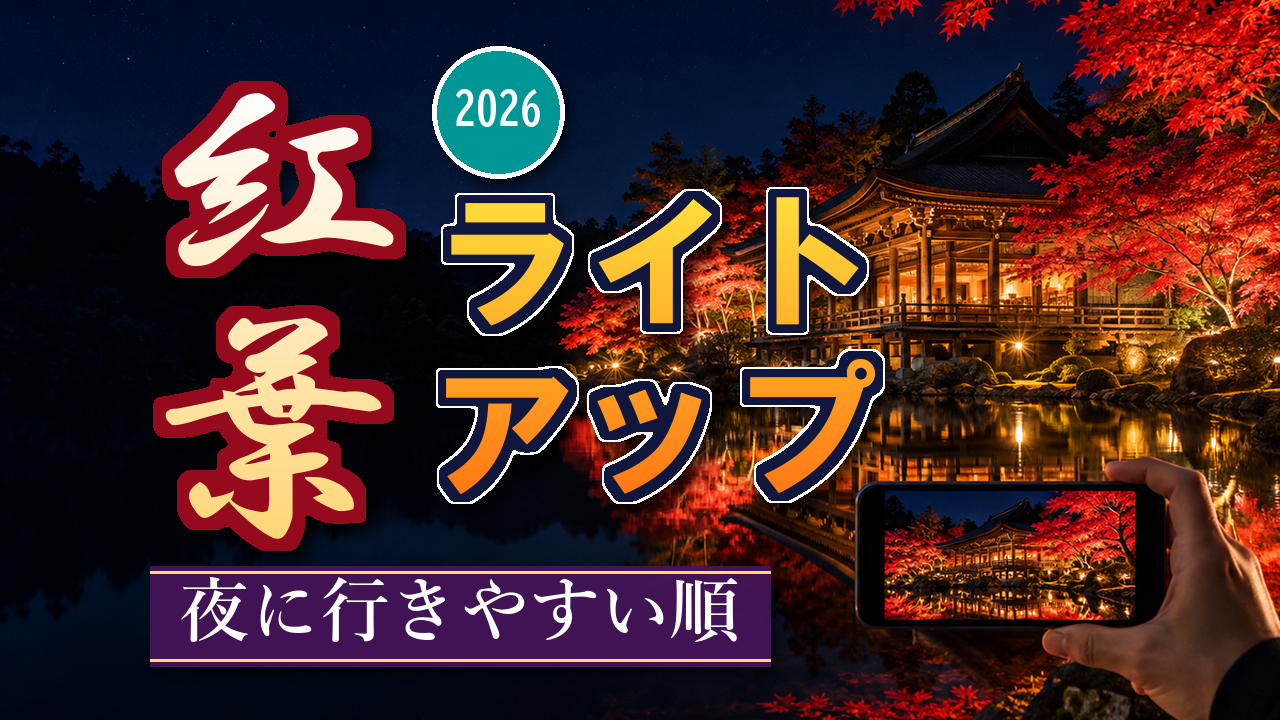 紅葉ライトアップ2026|夜に行きやすい順