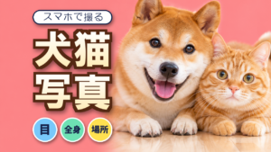 犬猫のスマホ写真｜目・全身・いつもの場所