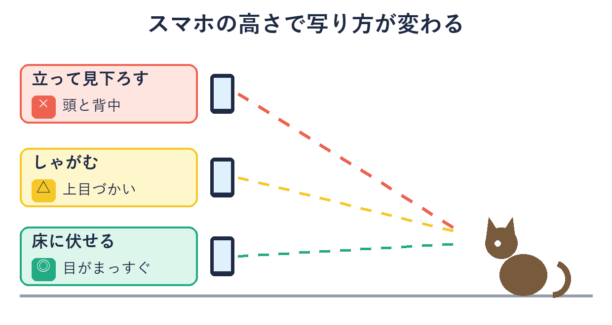 立って見下ろすと頭と背中、しゃがむと顔は写るが上目づかい、床に伏せて目線を合わせると目と表情がまっすぐ写る、という3つの高さを比べた図