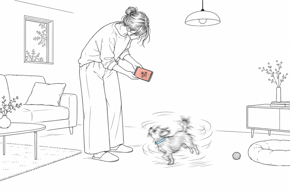 犬猫の写真がブレる・暗い・目が写らない理由