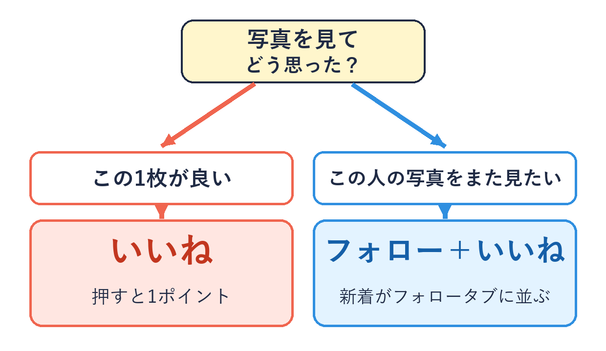 写真を見て、この1枚が良いならいいね、この人の写真をまた見たいならフォローといいねの両方、と分かれる図