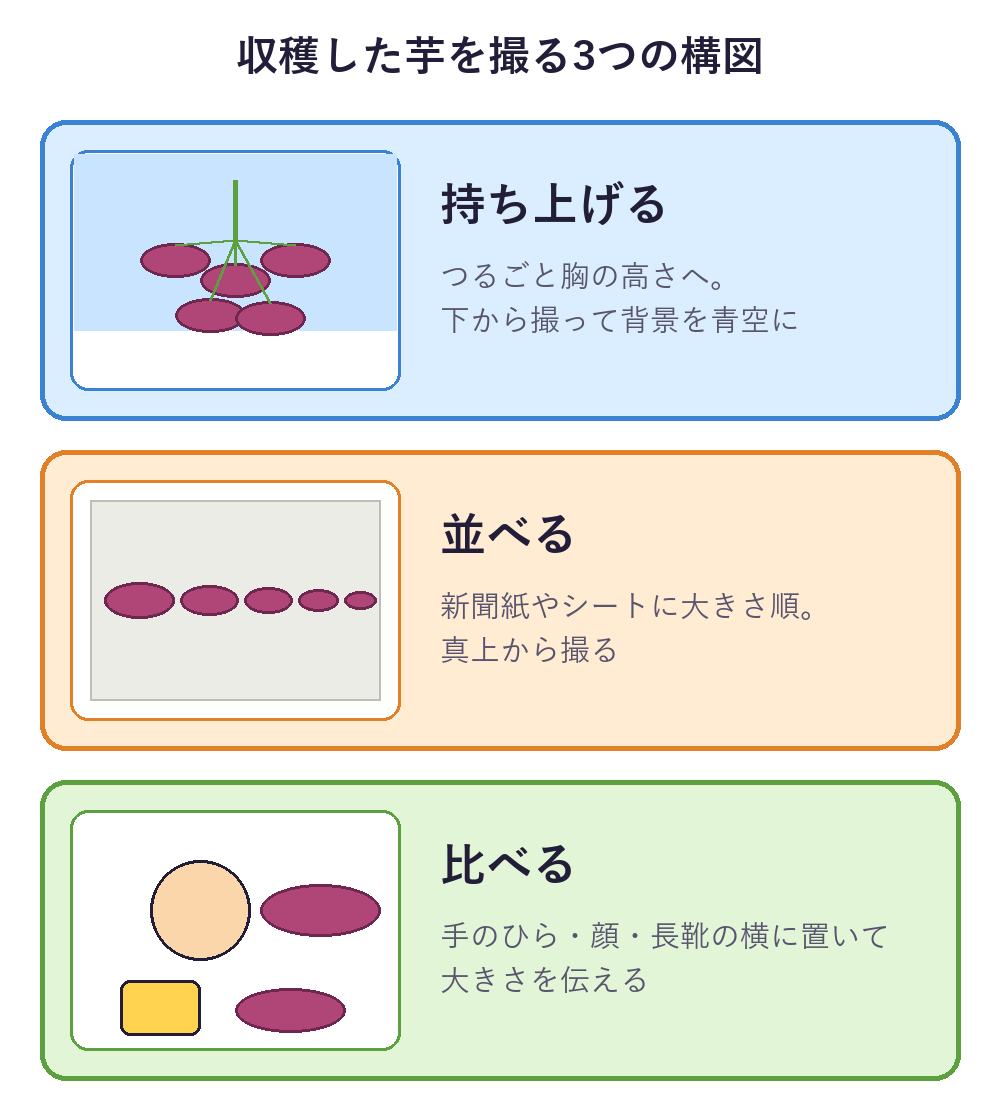 つるごと持ち上げて空を背景にする、シートの上に大きさ順に並べる、顔や手の横で大きさを比べる、の3つの構図を並べたカード図